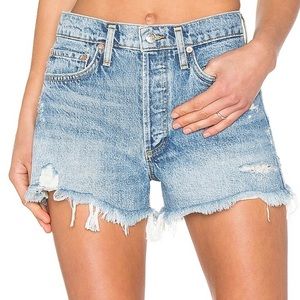 Agolde Parker Vintage Cut Off Short in Swampmeet